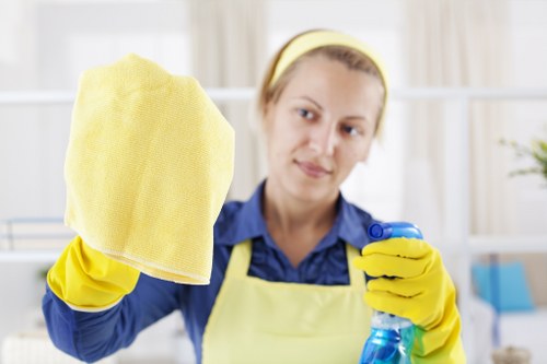 Domestic cleaning in SW13 living room with tidy surfaces and fresh furnishings
