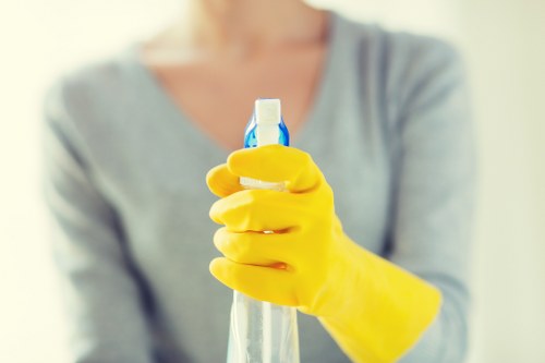 Professional home cleaners servicing a SW13 residential property