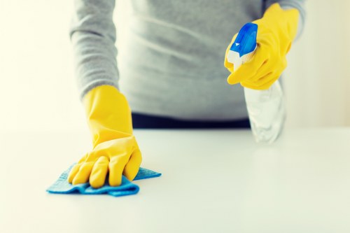 Stain removal and deep carpet care in SW13 properties
