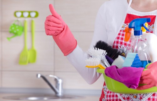 Professional carpet cleaning in a SW13 home living room