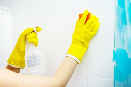Freshly cleaned carpet interior representing About Us Carpet Cleaners SW13