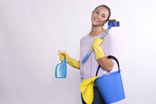 Bathroom limescale and surface cleaning for SW13 tenancy handover