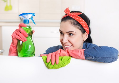 Streak-free window cleaning in SW13 improving natural light