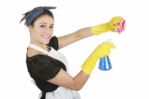 Professional carpet cleaner inspecting a room before cleaning