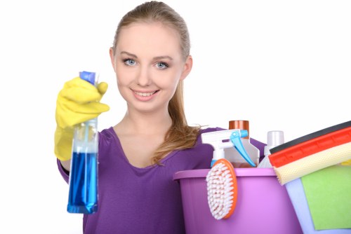 Investigation of a carpet cleaning concern with service records