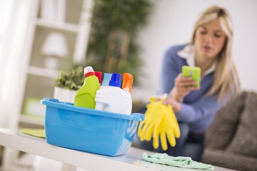 Review of carpet cleaning issue details during a complaints process