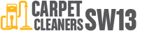Carpet Cleaners SW13